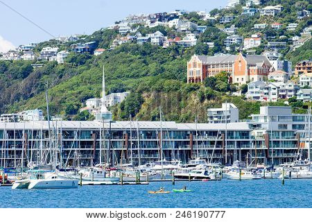 Wellington, New Zealand - 13 February  2016: Kayakers Enjoying A Summers Day Out On The Waters Of We