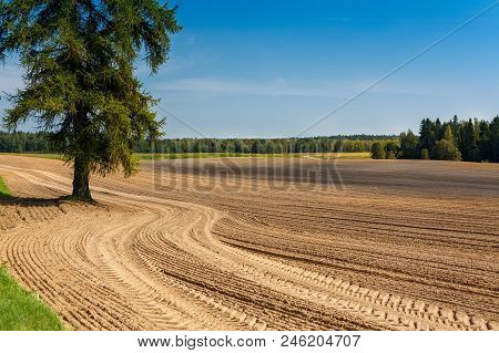 The Plowed Field. Furrow Go To The Horizon. The Sowing Of Winter Crops. Agricultural Work. Sandy Soi