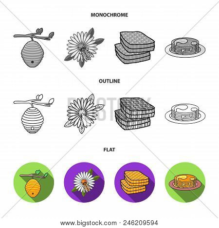 A Hive On A Branch, A Bee On A Flower, A Honeycomb With Honey, A Honey Cake.apiary Set Collection Ic