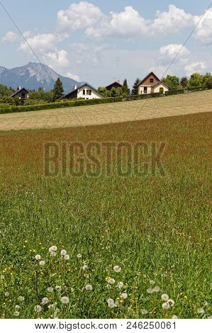 Fields And Meadows Around The Village Of Saint-nizier Du Moucherotte On Vercors Range