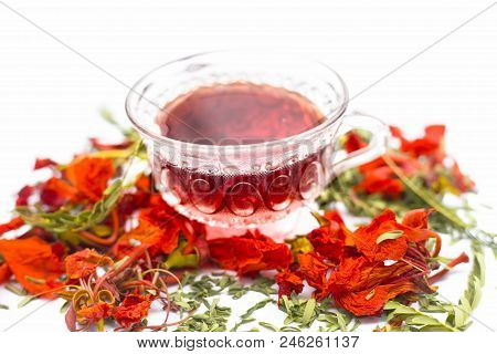 Close Up Of Orange Or Red Colored Tea Of Gular Or Flame Tree's Flowers Isolated On White.