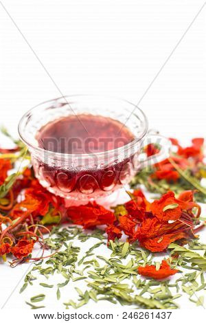 Close Up Of Orange Or Red Colored Tea Of Gular Or Flame Tree's Flowers Isolated On White.