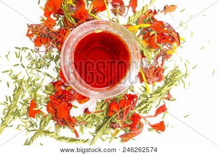 Close Up Of Orange Or Red Colored Tea Of Gular Or Flame Tree's Flowers Isolated On White.