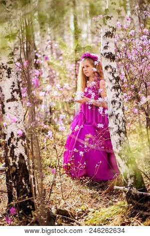 A Child With A Long Blond Hair Stands Among The Ledum And Birch In A Pink Dress And Smiling