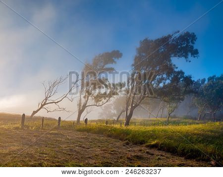 Morning Fog Above The Field In Countryside Area