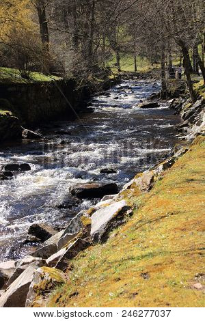View Of The River Enz Near Bad Wildbad In The Black Forest