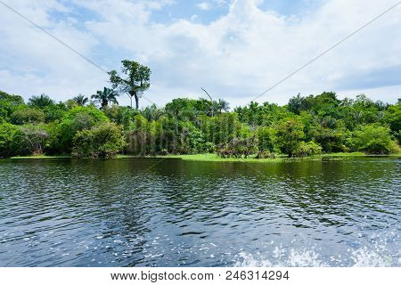 Panorama From Amazon Rainforest, Brazilian Wetland Region. Navigable Lagoon. South America Landmark.