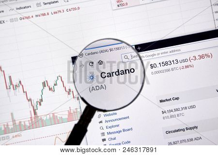 Cardano Price Under Magnifying Glass.