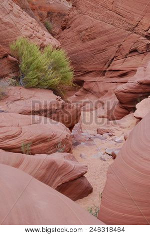 Sanstone Slot Canyon With Stones And Green Plant, Beautiful Nature