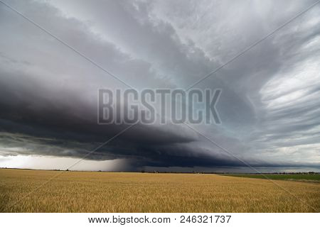A Line Of Heavy Thunderstorms Fills The Sky Over A Wheat Field In Eastern Colorado.