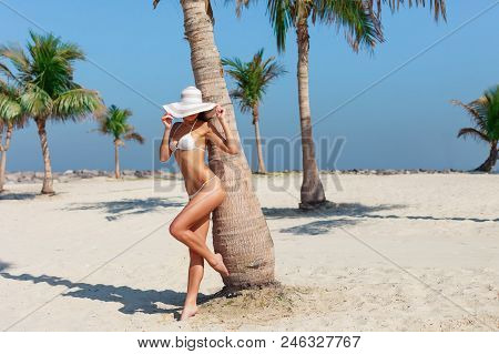 Sexy Beautiful Tanned Woman Relaxing And Sunbathing In Bikini On Sea Background And Palm. Panoramic 