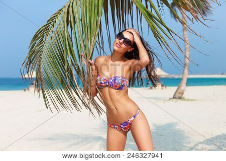 Sexy Beautiful Tanned Woman Relaxing And Sunbathing In Bikini On Sea Background And Palm. Panoramic 