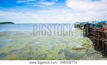 Sea Mudflat With Bamboo Village By The Sea.