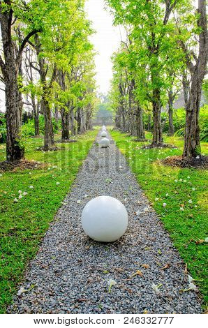 Pathway Of The Garden With Circular Stone.