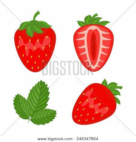 Set Of Red Strawberry Berryes Whole, Half And Leaf Vector Illustrationisolated On White Background.