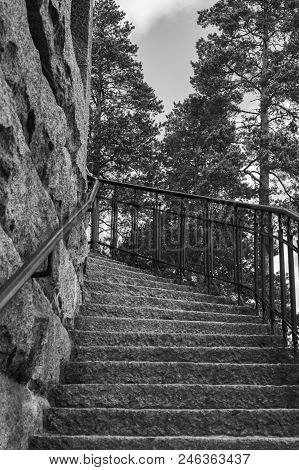 Stairs Which Lead Us To Very High Over The Top Of Trees.