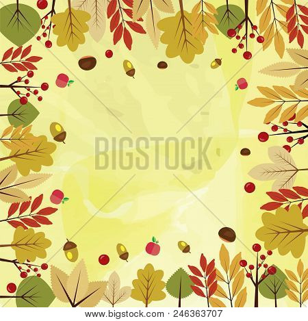 Beautiful Autumnal Background With Different Autumn Leaves