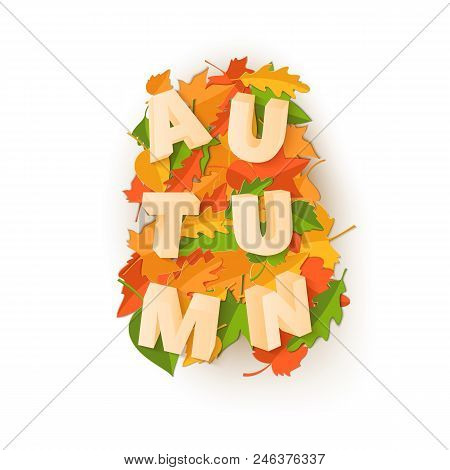 Word Autumn Composition With Green Yellow Red Leaves On White Background In Paper Cut Style. Fall Cr