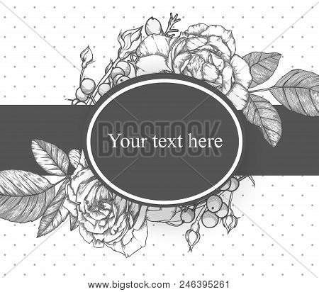 Vintage Background, Antique, Victorian Hand Drawn Rose, Baroque Frame, Beautiful Old Paper, Card, Or