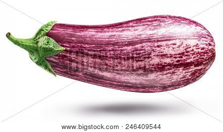 Aubergine or eggplant isolated on white background. File contains clipping path.