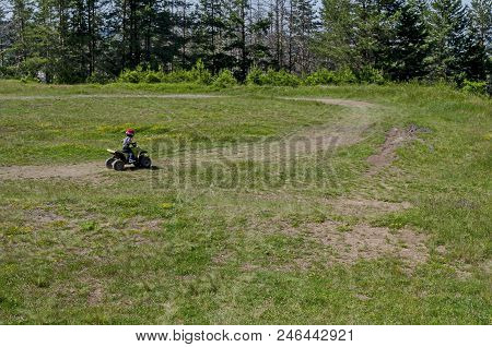 View Of Springtime Glade, Dreen Forest And Child Drive Small Motor, Vitosha Mountain, Bulgaria