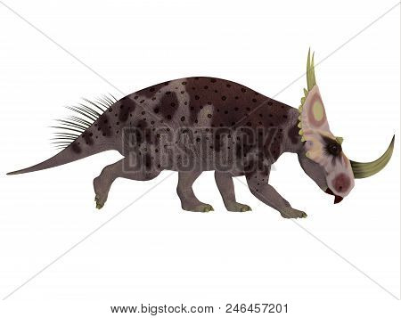 Rubeosaurus Dinosaur Side Profile 3d Illustration - Rubeosaurus Was A Herbivorous Ceratopsian Dinosa