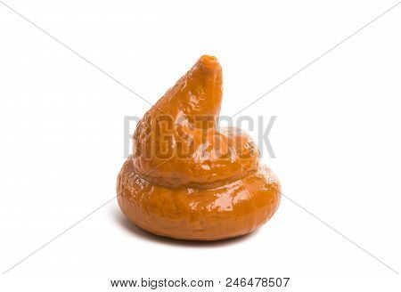 Feces Brown Excrement Isolated On White Background