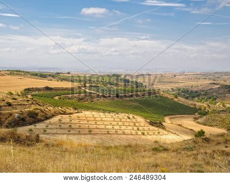 Approaching The Border Of Navarre And La Rioja - Viana, Navarre Spain