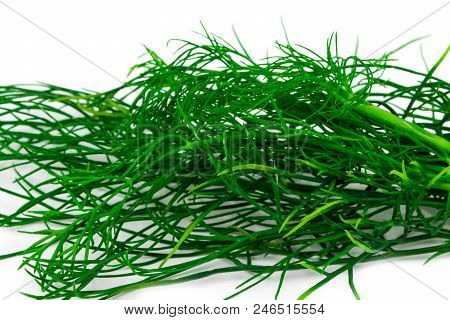 Bunch Fresh, Green Dill On A White Background