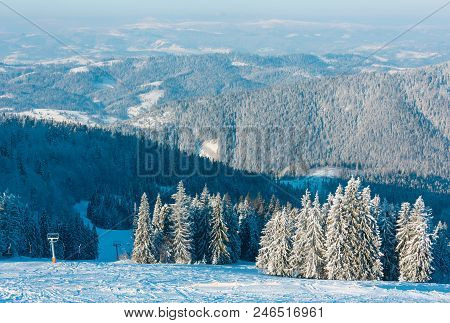 Morning Winter Calm Mountain Landscape With Beautiful Frosting Trees In Mountains Shadows And Ski Sl