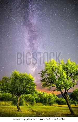 A View Of The Stars Of The Milky Way. Green Plum Trees With Plums High In The Mountain In The Foregr