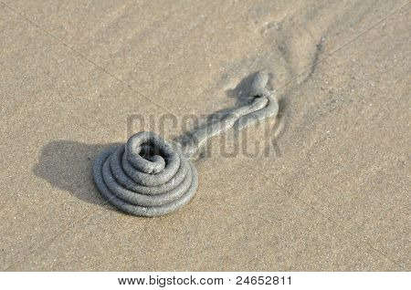 Abstrakt af under sand dyr på stranden, Pataya, Thailand