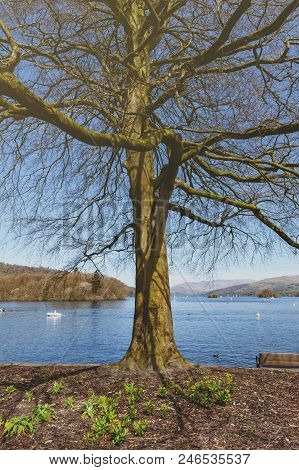 South Lakeland, Uk - April 2018: Beautiful Bowness Bay Seen From The Bank Of Windermere At Bowness-o