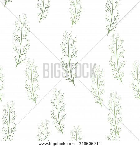 Vector Seamless Pattern With Plants. Hand Drawn Botanical Backdrop.