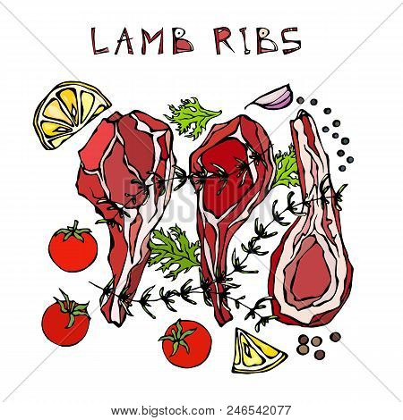 Lamb Ribs Chops With Herbs, Lemon, Tomato, Parsley, Thyme, Pepper. Meat Guide For Butcher Shop Or St