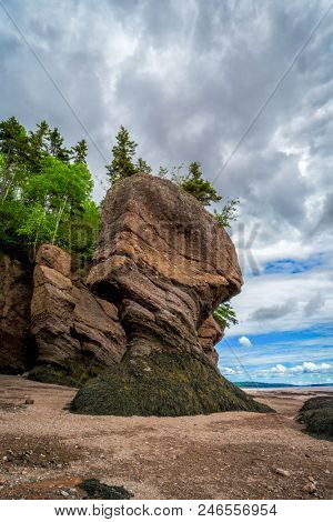 The Hopewell Rocks also known as the flowerpot rocks, along the Bay of Fundy, New Brunswick, Canada.