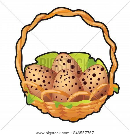 Speckled Bird Eggs In A Wicker Basket Isolated On White Background. Vector Cartoon.
