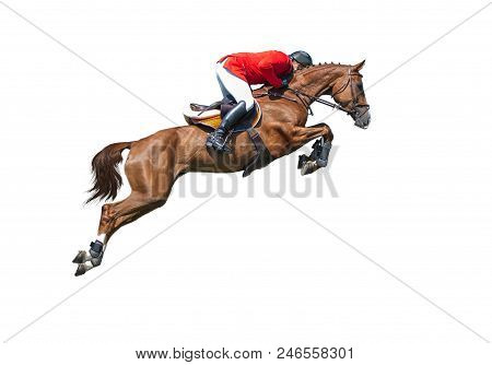 Rider In Red Jaket On Bay Horse In Jumping Show, Isolated On White Background