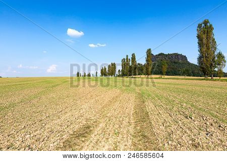 Lilienstein Mountain And Field With Sky, Saxon Switzerland, Königstein, Germany