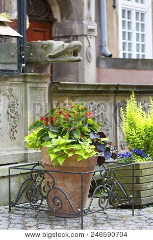 Mariacka Street, Typical Decorative Stoop With Stone Stairs, Front Of Colorful Tenement House, Main 
