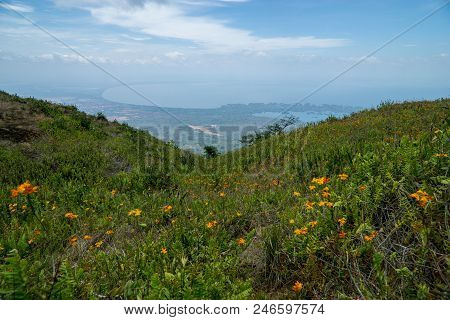 Hillside With Flowers Leading Down To The View Of Lake Nicaragua And The Granada Islands In The Rain