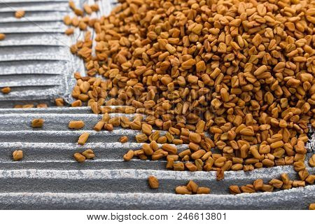 Fragrant Grains Of Fenugreek On A Rustic Background.