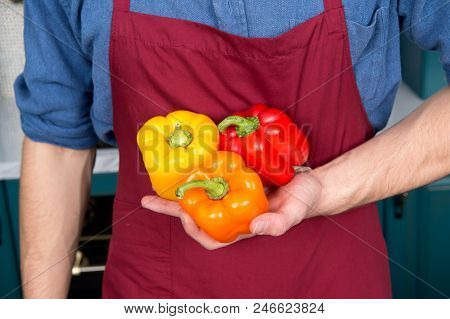 Fresh Peppers Vegetables In Hand Of Chef. Diversity Ingredients. Peak Season Purchasing Ensure Your 