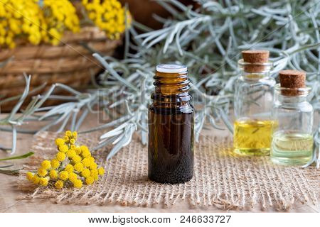 A Bottle Of Essential Oil With Fresh Blooming Helichrysum Italicum Plant