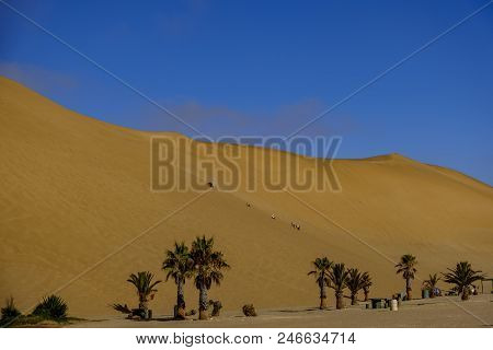 Tourists Give Sense Of Scale On Beautiful Expanse Of Golden Sands Of Dune 7, The Highest In Namibia 