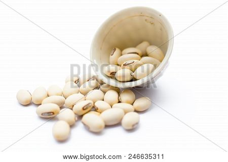 Ayurvedic Herb Kaunch Or Velvet Bean Or Bengal Velvet Bean Or Kapikachhu Or Mucuna Pruriens Isolated