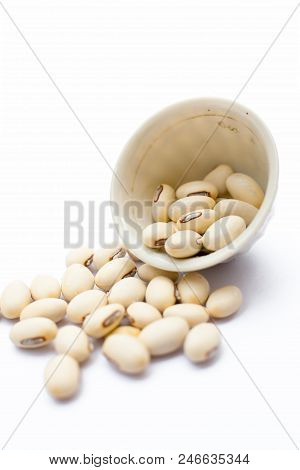 Ayurvedic Herb Kaunch Or Velvet Bean Or Bengal Velvet Bean Or Kapikachhu Or Mucuna Pruriens Isolated