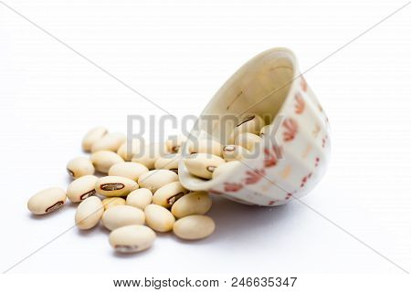 Ayurvedic Herb Kaunch Or Velvet Bean Or Bengal Velvet Bean Or Kapikachhu Or Mucuna Pruriens Isolated
