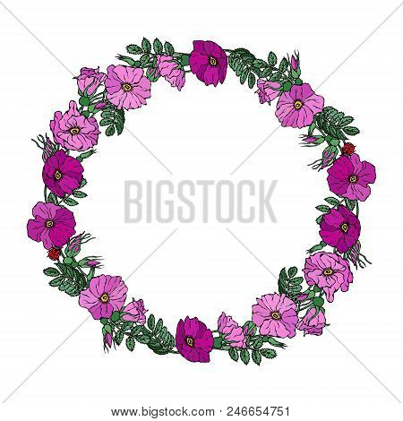 Round Frame With Wild Roses. Summer Flowers Greeting Card Or Wedding Background. Hand Drawn Illustra