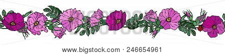 Endless Brush Border With Wild Roses. Summer Flowers Greeting Card Or Wedding Background. Hand Drawn